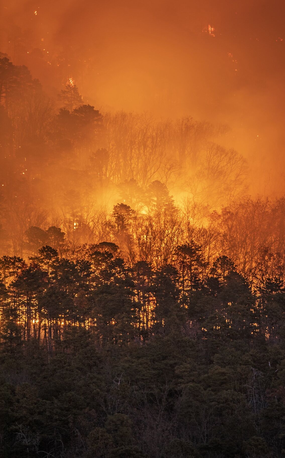 Pilot Mountain Fire